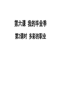 人教部编版道德与法治九年级下册6.2-多彩的职业-课件