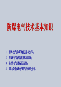 石化电气防爆及安全等级