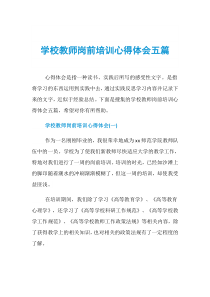 学校教师岗前培训心得体会五篇