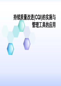 CQI项目实施与管理工具的使用