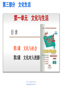 2016新课标全国卷政治《艺考生文化课冲刺点金》配套课件-第1课-文化与社会