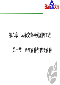 杂交育种与诱变育种课件-生物高二必修二第六章第一节人教版