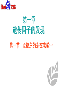 孟德尔的杂交实验(一)-1课时ppt课件-生物高二必修二第一章第一节人教版