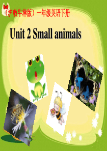 一年级下英语课件-lets-talk-Unit-2-small-animals-牛津上海版【小学学科