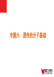 2014届高考生物二轮复习：专题6-遗传的分子基础