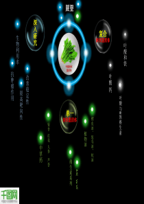 生物动态PPT课件模板