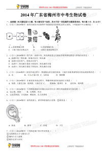 广东梅州生物(含解析)