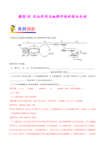 模型08-光合作用与细胞呼吸的综合分析-备战2018年高考生物之模型解题法(原卷版)