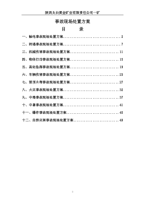 生产现场处置应急处置方案