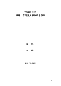 甲醇车间重大事故应急预案