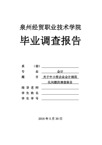 中小企业会计规范化问题的调查报告汇编