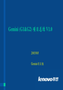 Gemini项目总结V11