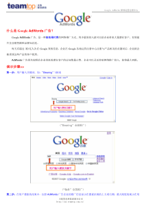 google项目介绍1