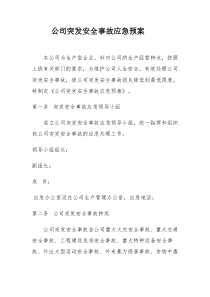 突发安全事故应急预案(生产型企业)