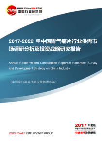 2017-2022年中国胃气痛片行业供需市场调研分析及投资战略研究报告目录