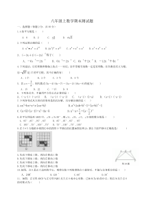 华师大八年级上数学期末测试题卷含答案(1)