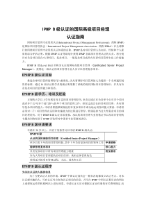 IPMPB级国际高级项目经理