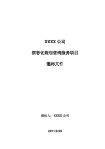 IT规划咨询项目邀标文件模板