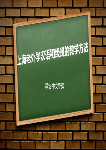 上海老外学汉语初级班的教学方法