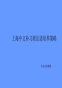 上海中文补习班汉语培养策略