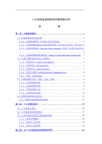 XX公司现金流的财务内部控制分析DOC