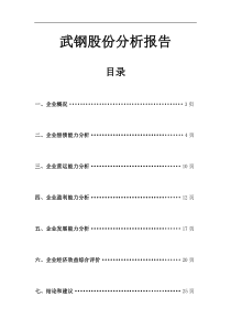 (最新)武汉钢铁股份有限公司财务分析