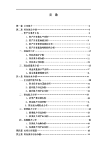 山东太阳纸业财务分析