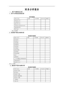 某集团公司财务分析模板