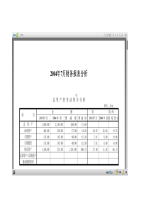 财务分析模板