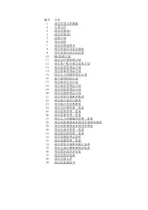 IT项目管理全套文件模板汇总(精)(xls 40) 