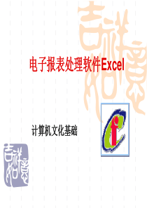 电子报表处理软件Excel