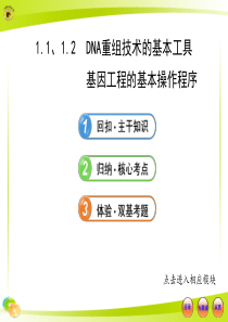 13版高中生物复习课件：选修3.1.1.1、1.2DNA重组技术的基本工具-基因工程的基本操作程序(