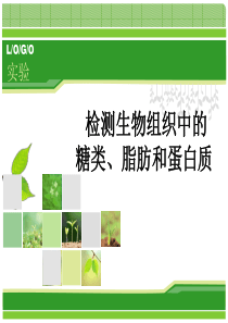 湖北省江汉油田油建学校人教版高中生物必修一课件：54检测实验生物组织中的糖类、脂肪和蛋白质(共13张