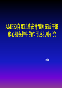 AMPK自噬通路在骨髓间充质干细胞心肌保护中的作用及机制研究