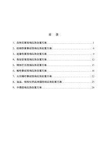 选矿厂现场应急处置方案(安全标准化)（DOC31页）