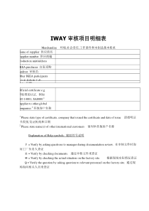 IWAY审核项目明细表(doc24)(1)