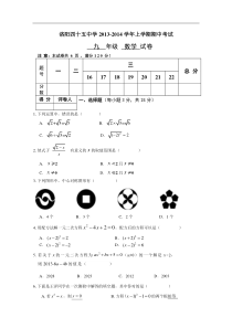 洛阳四十五中2013-2014年九年级上期中考试数学试卷及答案