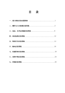 重大事故应急预案（DOC32页）