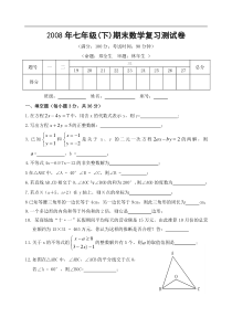 2008年七年级(下)期末数学复习测试卷