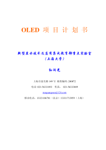 OLED项目计划书