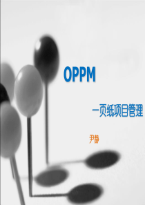 OPPM一页纸项目管理