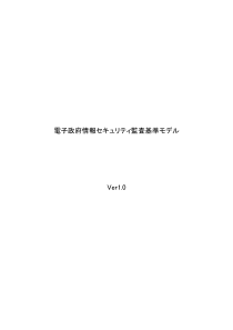 电子政府情报监査基准