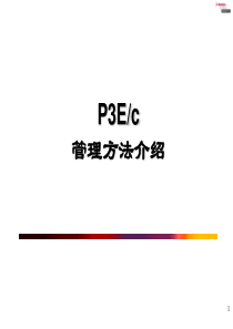 P3E项目管理方法介绍(1)