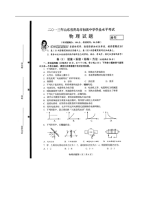 2013青岛市中考物理试题