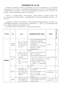 淘宝商城经典运营方案