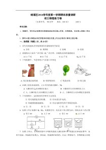 2015年上海市杨浦中考一模物理试题