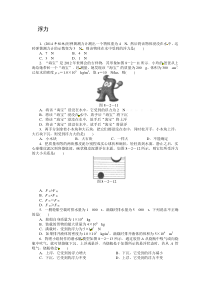 2015中考物理专题训练题 浮力