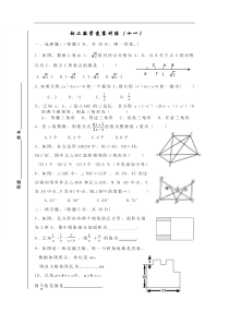 八年级下数学竞赛训练(十一)及答案