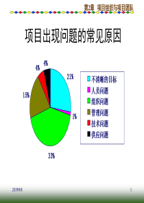 pm(2)项目组织与项目团队