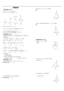 初中数学--三角形专题测试卷